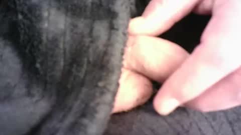 Snapshot of burnside13 chatting on 03/16/26, 07:29 Hamish online show from 03/16/26, 07:29