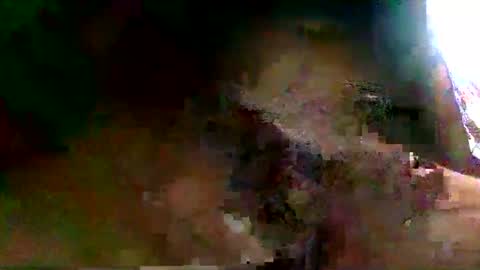 burro3000 online show from 12/13/24, 04:43