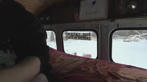 Snapshot of busbuddies chatting on 12/29/24, 04:19 busbuddies online show from 12/29/24, 04:19