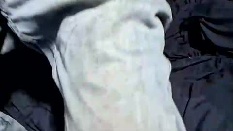 Buster18Hymen online show from 10/21/25, 07:36