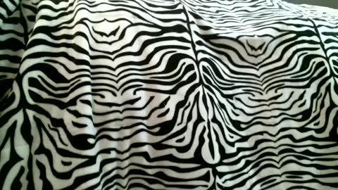 bustinfree online show from 02/05/25, 03:31