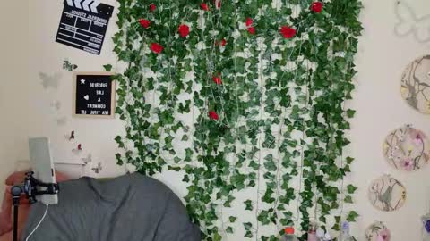 butterfly booty online show from 11/01/25, 02:19