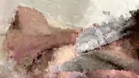 buzzed_gaming online show from 02/17/25, 05:14