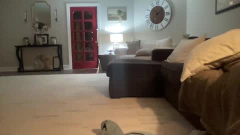 Snapshot of bwc2465 chatting on 02/15/25, 04:03 bwc2465 online show from 02/15/25, 04:03