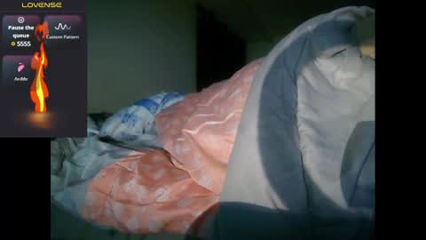 bzxxbzh online show from 12/17/24, 05:18