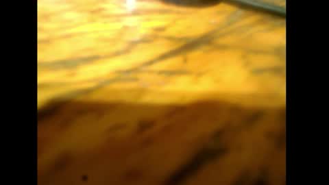 Snapshot of bzxxbzh chatting on 02/15/26, 04:14 bzxxbzh online show from 02/15/26, 04:14