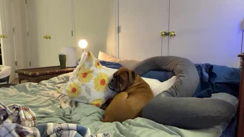 Snapshot of c2cmee chatting on 03/09/26, 04:38 c2cmee online show from 03/09/26, 04:38