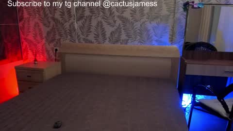 Snapshot of cactusjames_69 chatting on 10/27/25, 03:16 James online show from 10/27/25, 03:16