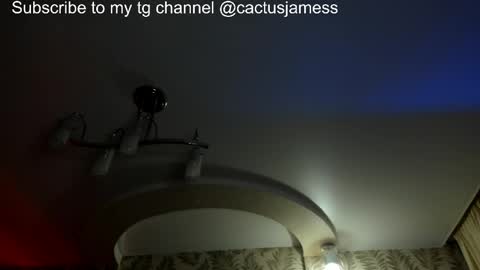 Snapshot of cactusjames_69 chatting on 04/03/26, 11:25 James online show from 04/03/26, 11:25
