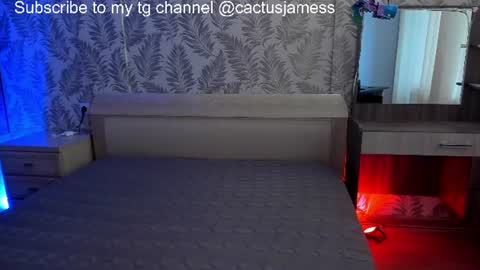 Snapshot of cactusjames_69 chatting on 07/02/26, 03:29 James online show from 07/02/26, 03:29