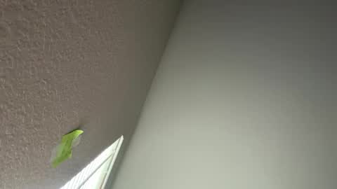 cakedupmothman online show from 05/06/26, 06:02