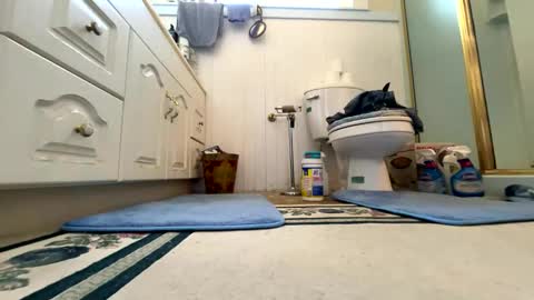 Cal online show from 10/06/25, 06:16