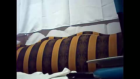 californiacam2 online show from 12/15/24, 08:52