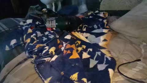 Snapshot of calisguitar chatting on 12/29/24, 09:30 Calisguitar online show from 12/29/24, 09:30