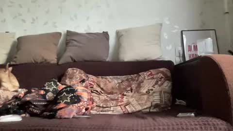 Snapshot of call_me_dad_ chatting on 06/27/26, 12:22 Anna online show from 06/27/26, 12:22