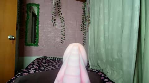 paula online show from 04/12/26, 07:57