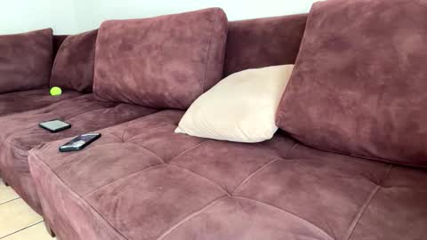 My name is Robert  Dont be shysay hi I love to chat. For requests or dirty talk please use tips  online show from 02/20/26, 06:19