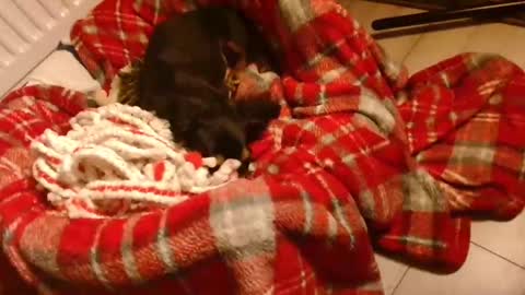 Snapshot of camdoattitude chatting on 01/28/25, 08:58 CamDoAttitude online show from 01/28/25, 08:58