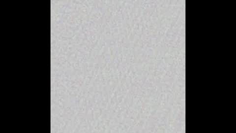 Camelia online show from 10/09/25, 10:35