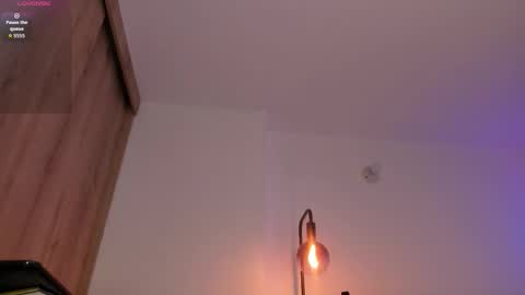 Snapshot of cameron_lyra chatting on 11/25/25, 01:49 Cameron online show from 11/25/25, 01:49