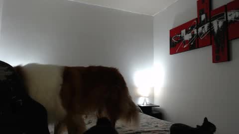 camila online show from 03/08/25, 11:16