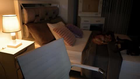 Snapshot of camila_buitrago chatting on 11/18/25, 11:37 Camila buitrago online show from 11/18/25, 11:37