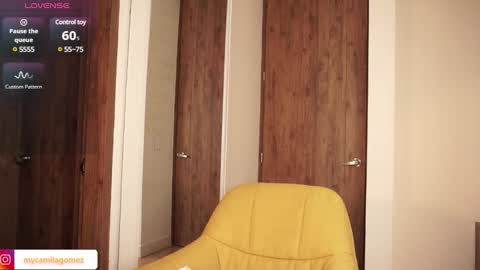 Snapshot of camilagomezz chatting on 02/06/25, 02:44 Camila online show from 02/06/25, 02:44