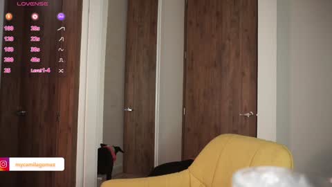 Snapshot of camilagomezz chatting on 03/09/25, 08:21 Camila online show from 03/09/25, 08:21