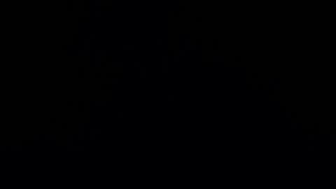 camilio96 online show from 12/27/24, 05:42