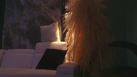 CAMILO  online show from 06/13/26, 11:41