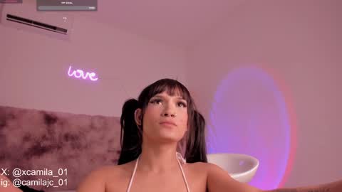 Snapshot of cammile_cole chatting on 12/20/24, 02:19 Laura Camila online show from 12/20/24, 02:19