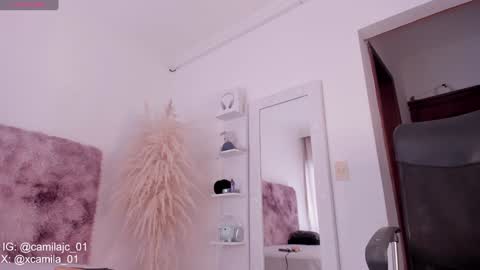 Snapshot of cammile_cole chatting on 01/18/25, 06:43 Laura Camila online show from 01/18/25, 06:43