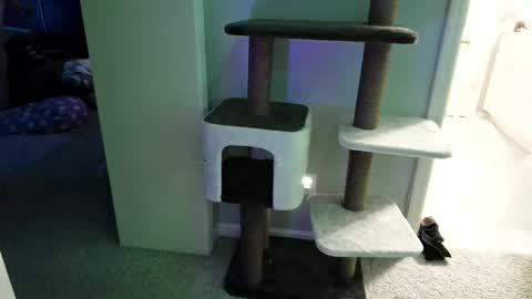 cammyman6900 online show from 05/12/26, 04:31