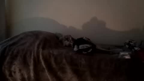 Camren online show from 10/07/25, 02:47