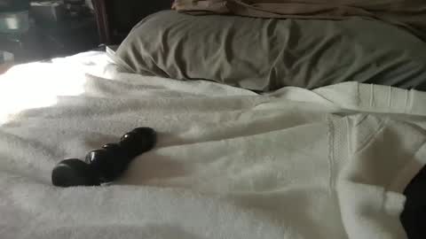 Snapshot of canadianboy88 chatting on 01/27/25, 07:24 CanadianBoy88 online show from 01/27/25, 07:24