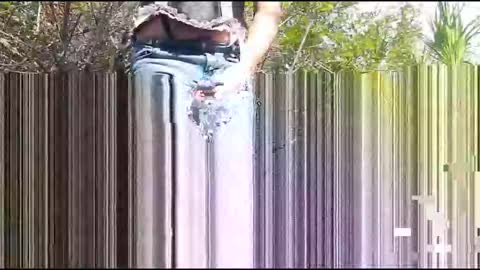 Candi Cakes online show from 03/04/26, 08:04