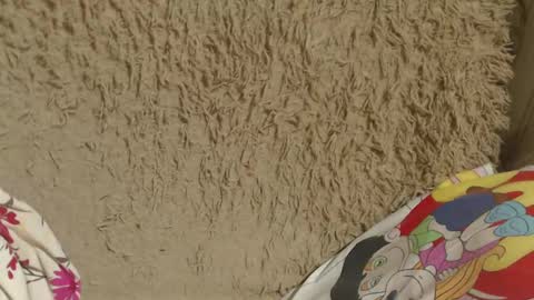 say meow and send tip  online show from 02/14/25, 08:05