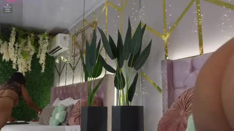 canela_montiel online show from 06/03/26, 12:52