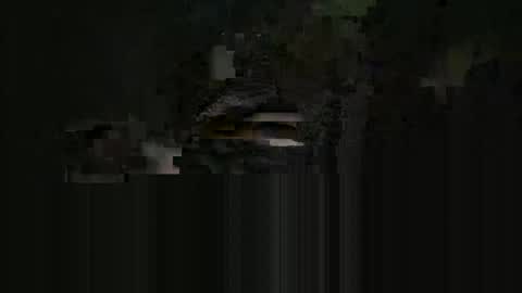 Snapshot of cardie chatting on 05/16/26, 04:09 supersexycardie online show from 05/16/26, 04:09