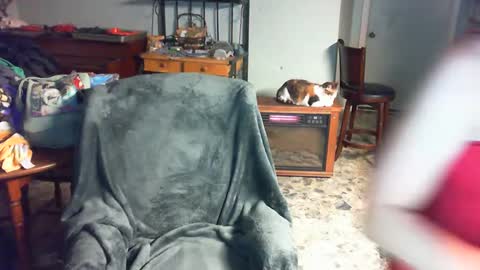 Snapshot of carleyquinn42183 chatting on 12/02/24, 03:47 Carley online show from 12/02/24, 03:47