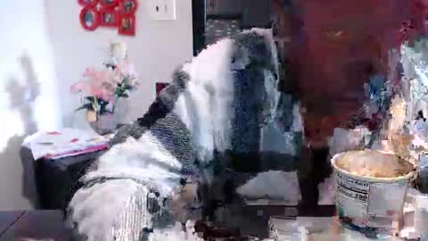 Snapshot of carliecreams chatting on 03/13/26, 02:45 Carlie online show from 03/13/26, 02:45