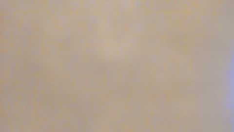 Carlie online show from 01/23/25, 04:19