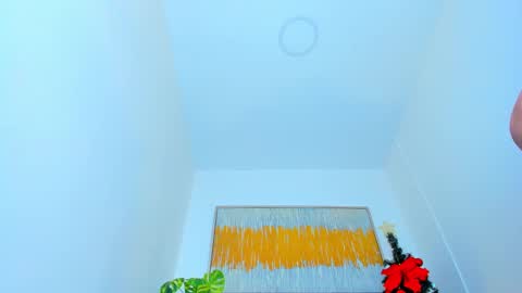 Snapshot of carlota_peach chatting on 01/08/25, 03:17 Andrea online show from 01/08/25, 03:17