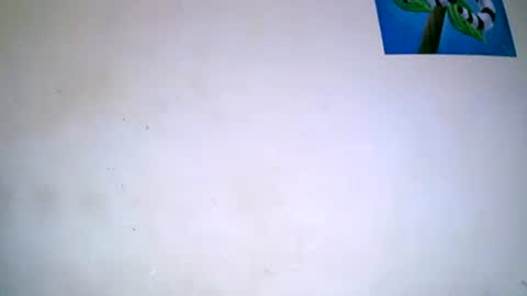 Snapshot of caroline151047 chatting on 03/09/25, 05:17 caroline151047 online show from 03/09/25, 05:17