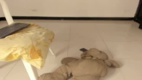 Snapshot of carolinnagomez chatting on 03/11/26, 12:22 Caro online show from 03/11/26, 12:22