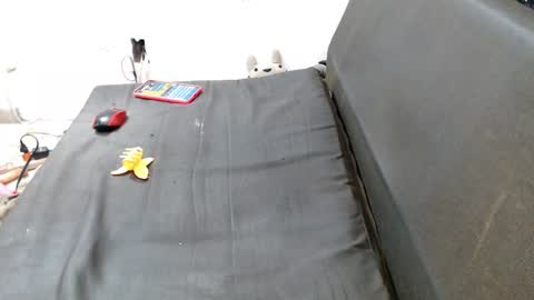 carol my sign is capricorn online show from 12/07/24, 12:41