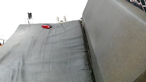 carol my sign is capricorn online show from 12/29/24, 01:45