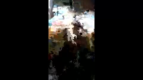 Snapshot of carrilloeverardo219 chatting on 03/23/26, 11:31 carrilloeverardo219 online show from 03/23/26, 11:31