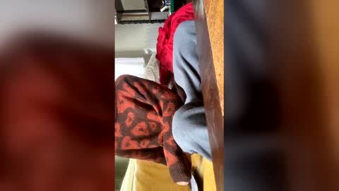 Snapshot of carrrigggg chatting on 03/03/26, 09:15 carrrigggg online show from 03/03/26, 09:15