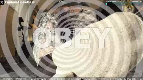 Snapshot of cashmastergrey chatting on 05/15/26, 04:08 Master Grey online show from 05/15/26, 04:08